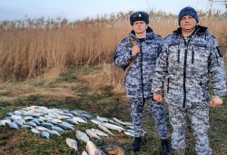 Росгвардейцы пресекли незаконную добычу водных биоресурсов на Ставрополье Росгвардейцы пресекли незаконную добычу водных биоресурсов на Ставрополье