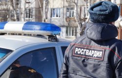 Коряжемские росгвардейцы задержали двух молодых людей, подозреваемых в попытке угона автомобиля и хищении имущества Коряжемские росгвардейцы задержали двух молодых людей, подозреваемых в попытке угона автомобиля и хищении имущества