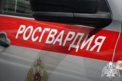 Сотрудники Росгвардии задержали правонарушителей в районах Карелии Сотрудники Росгвардии задержали правонарушителей в районах Карелии