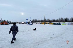 На Ямале сотрудники Росгвардии приняли участие в межрегиональных учениях «Безопасная Арктика - 2023» На Ямале сотрудники Росгвардии приняли участие в межрегиональных учениях «Безопасная Арктика - 2023»