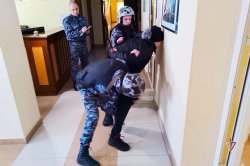 В Росгвардии выбрали лучшую группу задержания вневедомственной охраны на Ямале (ВИДЕО) В Росгвардии выбрали лучшую группу задержания вневедомственной охраны на Ямале (ВИДЕО)