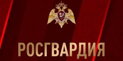 Сотрудники ОМОН «Вымпел» Росгвардии по Вологодской области провели экскурсию для лучших учеников подшефной школы Сотрудники ОМОН «Вымпел» Росгвардии по Вологодской области провели экскурсию для лучших учеников подшефной школы