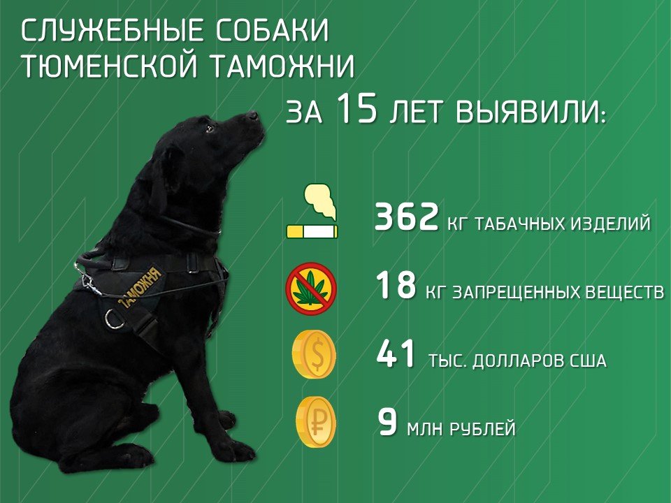 Результаты обучения