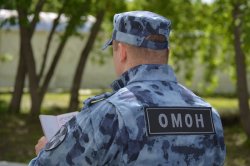 Росгвардейцы оказали содействие сотрудникам полиции при задержании нарушителей миграционного законодательства в Омске Росгвардейцы оказали содействие сотрудникам полиции при задержании нарушителей миграционного законодательства в Омске