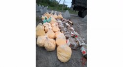 В ЛНР бойцы Росгвардии обнаружили и обезвредили взрывное устройство весом в тонну В ЛНР бойцы Росгвардии обнаружили и обезвредили взрывное устройство весом в тонну