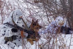 385 ��������� ����� �������� ������ � ����������� ������ ������ �� ������������� ����