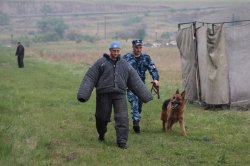 385 ��������� ����� �������� ������ � ����������� ������ ������ �� ������������� ����