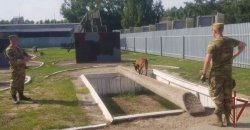 Кинологи Росгвардии приступили к профессиональной подготовке в Тюмени Кинологи Росгвардии приступили к профессиональной подготовке в Тюмени