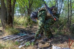 Росгвардейцы обнаружили тайник с боеприпасами в лесном массиве ЛНР Росгвардейцы обнаружили тайник с боеприпасами в лесном массиве ЛНР