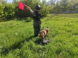 В Уральском филиале ведомственной охраны Минтранса провели учения с командой Курган по защите моста В Уральском филиале ведомственной охраны Минтранса провели учения с командой Курган по защите моста