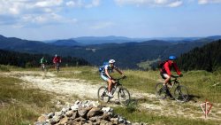 Офицер Росгвардии стал вице-чемпионом экстремальной велогонки «Arctic Bike Trail» Офицер Росгвардии стал вице-чемпионом экстремальной велогонки «Arctic Bike Trail»