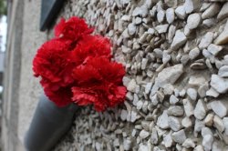 В Сыктывкаре сотрудники ОМОН «Зырянин» Росгвардии почтили память погибших сослуживцев В Сыктывкаре сотрудники ОМОН «Зырянин» Росгвардии почтили память погибших сослуживцев