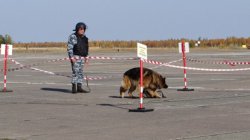Работники команды «Надым» Уральского филиала ведомственной охраны Минтранса России «пресекли» попытку незаконного проникновения на территорию аэропорт Работники команды «Надым» Уральского филиала ведомственной охраны Минтранса России «пресекли» попытку незаконного проникновения на территорию аэропорт