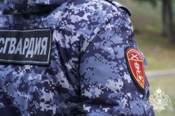 В районах Карелии росгвардейцами задержаны граждане, подозреваемые в хищениях В районах Карелии росгвардейцами задержаны граждане, подозреваемые в хищениях