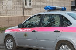 Карельские росгвардейцы за неделю около 500 раз выезжали на охраняемые объекты Карельские росгвардейцы за неделю около 500 раз выезжали на охраняемые объекты
