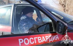 Сотрудники вневедомственной охраны в Тюмени задержали подозреваемую в краже Сотрудники вневедомственной охраны в Тюмени задержали подозреваемую в краже