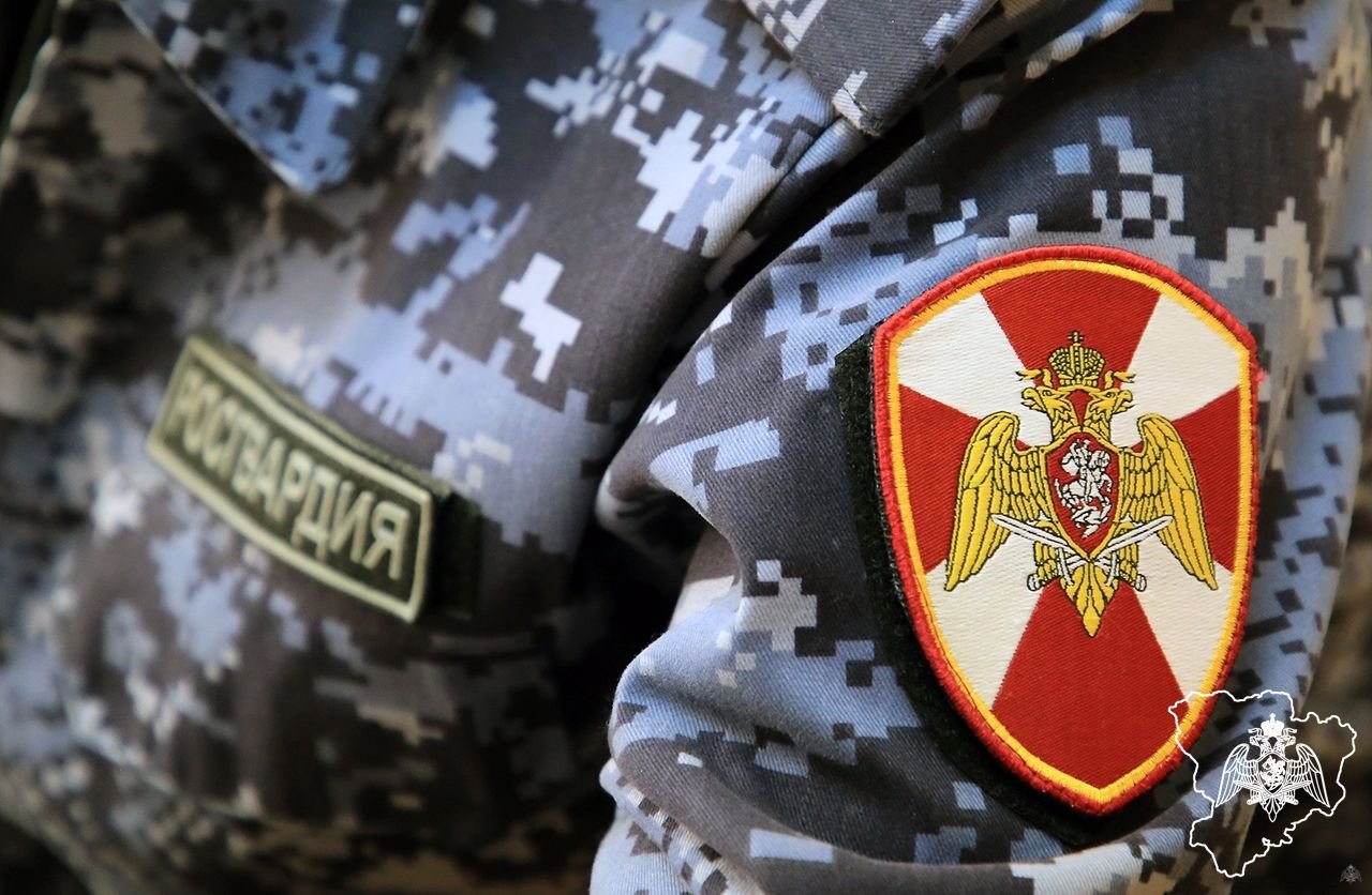 ступинский ово. вневедомственная охрана волгодонск. проверка школ на антитеррористическую безопасность. вневедомственная охрана квартир центр технической защиты. картинки полиция ступино.