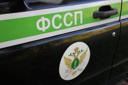 Житель Марий Эл не захотел работать и попал под арест