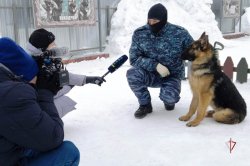 Корреспонденты ямальской телекомпании рассказали о подготовке специалистов-кинологов Росгвардии (ВИДЕО) Корреспонденты ямальской телекомпании рассказали о подготовке специалистов-кинологов Росгвардии (ВИДЕО)