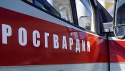За прошедшую неделю росгвардейцы проверили более 120 владельцев оружия в Костромской области За прошедшую неделю росгвардейцы проверили более 120 владельцев оружия в Костромской области