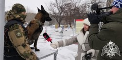 Кинологи Росгвардии познакомили ТВ-журналистов из Тюмени с особенностями профессиональной подготовки Кинологи Росгвардии познакомили ТВ-журналистов из Тюмени с особенностями профессиональной подготовки