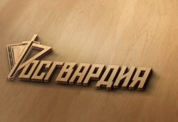 Росгвардейцы задержали вологжанина, устроившего скандал в кафе Росгвардейцы задержали вологжанина, устроившего скандал в кафе