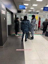 Четверо граждан Туркменистана отправлены судебными приставами на родину Четверо граждан Туркменистана отправлены судебными приставами на родину