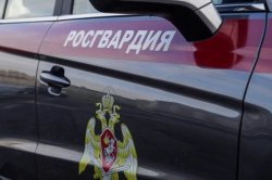 В Коряжме наряд Росгвардии оказал помощь медикам в поиске пожилой пациентки В Коряжме наряд Росгвардии оказал помощь медикам в поиске пожилой пациентки