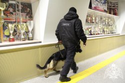 ОМОН Росгвардии обеспечил безопасность матчей по мини-футболу в Тюмени ОМОН Росгвардии обеспечил безопасность матчей по мини-футболу в Тюмени