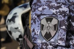 В Вологде сотрудники Росгвардии пресекли два правонарушения в приемном покое одной из больниц В Вологде сотрудники Росгвардии пресекли два правонарушения в приемном покое одной из больниц