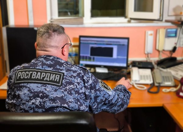 В Ульяновске сотрудники Росгвардии задержали подозреваемого в краже В Ульяновске сотрудники Росгвардии задержали подозреваемого в краже