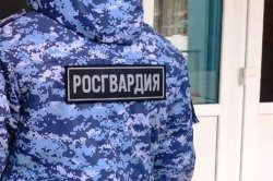 Вневедомственная охрана Росгвардии задержала нетрезвого водителя фуры в Петрозаводске Вневедомственная охрана Росгвардии задержала нетрезвого водителя фуры в Петрозаводске