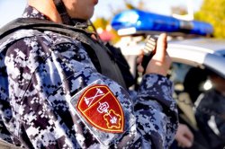 Северодвинские росгвардейцы задержали двух подозреваемых в хищении спиртного из магазина Северодвинские росгвардейцы задержали двух подозреваемых в хищении спиртного из магазина
