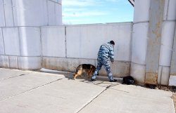 В Уральском филиале проверили готовность работников дежурной смены отделения «Иртыш» к попытке незаконного проникновения на территорию охраняемого объ В Уральском филиале проверили готовность работников дежурной смены отделения «Иртыш» к попытке незаконного проникновения на территорию охраняемого объ