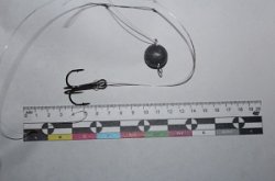 � ���������� ��������� ������������ ������� ������� ����� ����������-����������������� ����������� ���������, ���, �����������