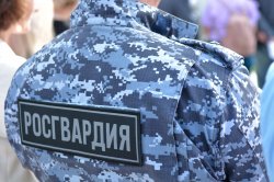 В Северодвинске наряд Росгвардии задержал объявленную в федеральный розыск жительницу В Северодвинске наряд Росгвардии задержал объявленную в федеральный розыск жительницу