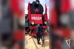 Сотрудники Росгвардии обеспечили безопасность прибывшего в Зауралье «Поезда Победы» Сотрудники Росгвардии обеспечили безопасность прибывшего в Зауралье «Поезда Победы»