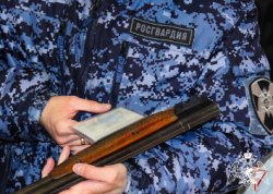 В Марий Эл сотрудники Росгвардии за прошедший месяц изъяли 22 единицы оружия В Марий Эл сотрудники Росгвардии за прошедший месяц изъяли 22 единицы оружия