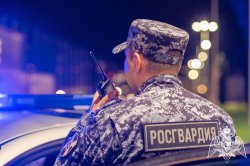 Орловец разбил дверь пивбара и был задержан росгвардейцами Орловец разбил дверь пивбара и был задержан росгвардейцами