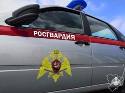 Вора-рецидивиста и других подозреваемых задержали росгвардейцы Волгоградской области за минувшие сутки Вора-рецидивиста и других подозреваемых задержали росгвардейцы Волгоградской области за минувшие сутки