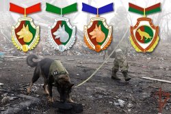 В Росгвардии возрождают традиции ведомственной кинологии В Росгвардии возрождают традиции ведомственной кинологии