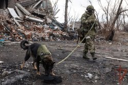 В Росгвардии возрождают традиции ведомственной кинологии В Росгвардии возрождают традиции ведомственной кинологии
