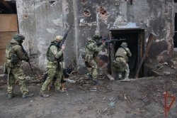 В Росгвардии возрождают традиции ведомственной кинологии В Росгвардии возрождают традиции ведомственной кинологии