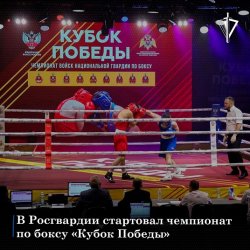 В Сочи на базе Федерального центра единоборств «Юг Спорт» завершился чемпионат войск национальной гвардии Российской Федерации по боксу «Кубок Победы» В Сочи на базе Федерального центра единоборств «Юг Спорт» завершился чемпионат войск национальной гвардии Российской Федерации по боксу «Кубок Победы»