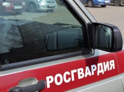 В Череповце сотрудники Росгвардии задержали мужчину, находившегося в розыске В Череповце сотрудники Росгвардии задержали мужчину, находившегося в розыске