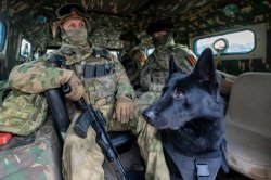 Генерал-полковник Алексей Воробьев поздравил кинологов Росгвардии с профессиональным праздником Генерал-полковник Алексей Воробьев поздравил кинологов Росгвардии с профессиональным праздником