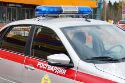 Росгвардейцы Карелии задержали гражданина, похитившего 5 килограмм мяса Росгвардейцы Карелии задержали гражданина, похитившего 5 килограмм мяса