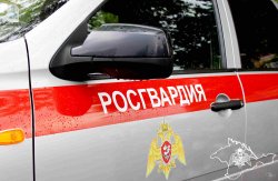 Росгвардейцы в Крыму и Севастополе за неделю пресекли ряд правонарушений Росгвардейцы в Крыму и Севастополе за неделю пресекли ряд правонарушений
