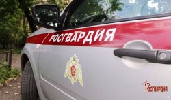 В Орле росгвардейцы пресекли два хищения и дебош в медучреждении В Орле росгвардейцы пресекли два хищения и дебош в медучреждении