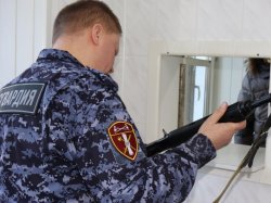 Сотрудники Росгвардии изъяли у жителей Архангельской области 22 единицы оружия за неделю Сотрудники Росгвардии изъяли у жителей Архангельской области 22 единицы оружия за неделю